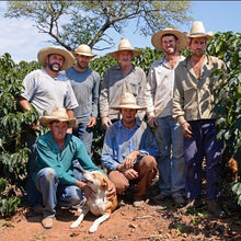Load image into Gallery viewer, Brazil - Bobolink