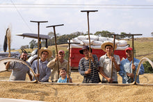 Load image into Gallery viewer, Brazil - Bobolink