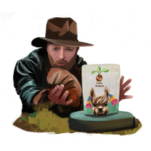 Load image into Gallery viewer, Brazil - Bobolink