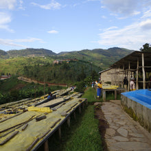 Load image into Gallery viewer, Rwanda - Gitesi