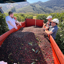 Load image into Gallery viewer, Brazil - Carmo estate