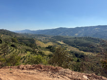 Load image into Gallery viewer, Brazil - Carmo estate