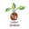 Logo di PS Coffee Roasters